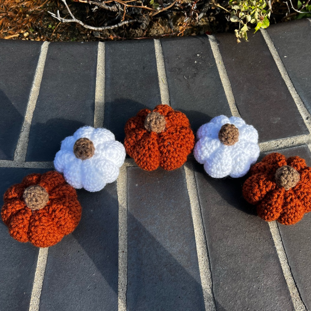 Hand Crocheted Set of 5 Rustic White & Orange Pumpkins Fall Halloween Decor! - Picture 6 of 12